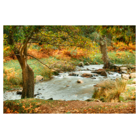 Autumnal Stream